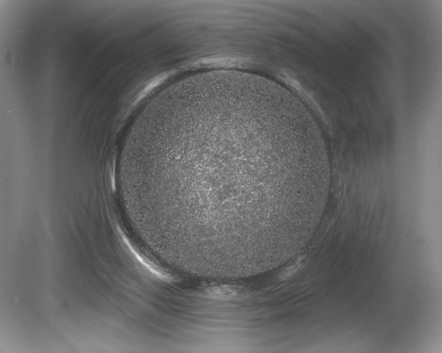 X0000081620062200701151442