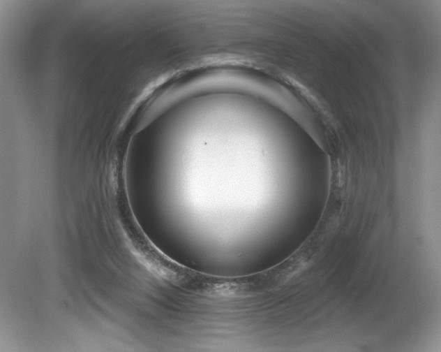 X0000081620064200701151442