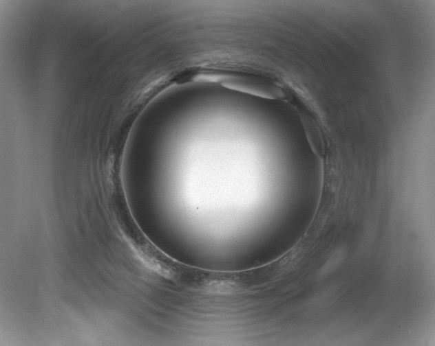X0000081620066200701151442