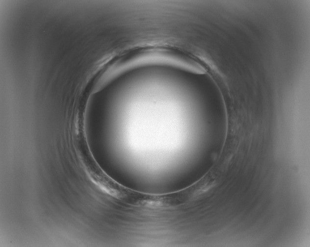 X0000081620068200701151442