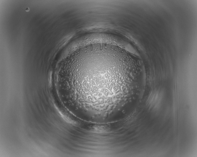 X0000081620070200701151442