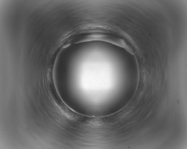 X0000081620071200701151442