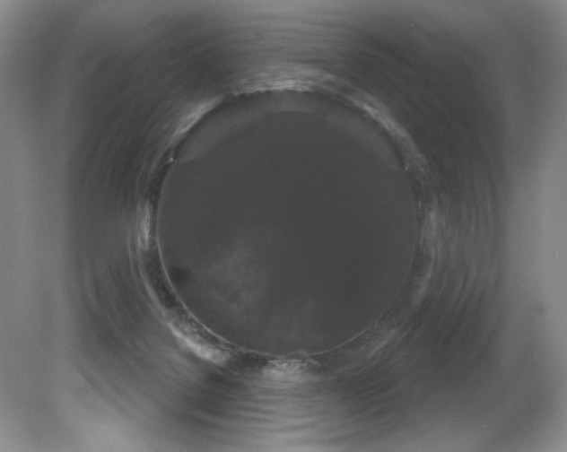 X0000081620076200701151442