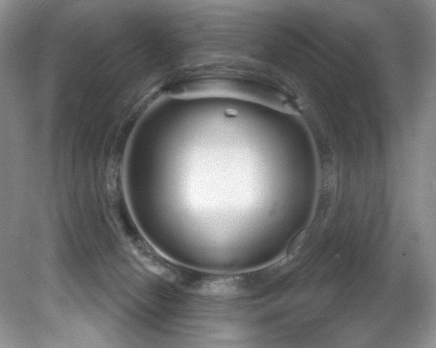 X0000081620078200701151442