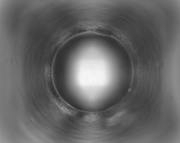 X0000081620079200701151442