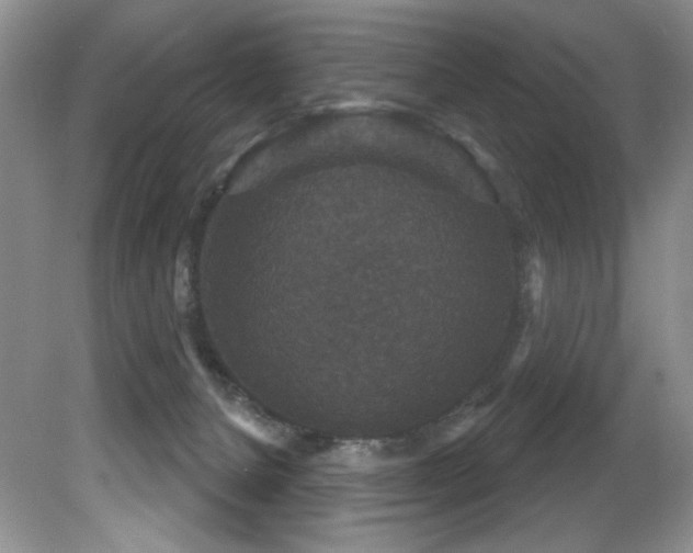 X0000081620080200701151442