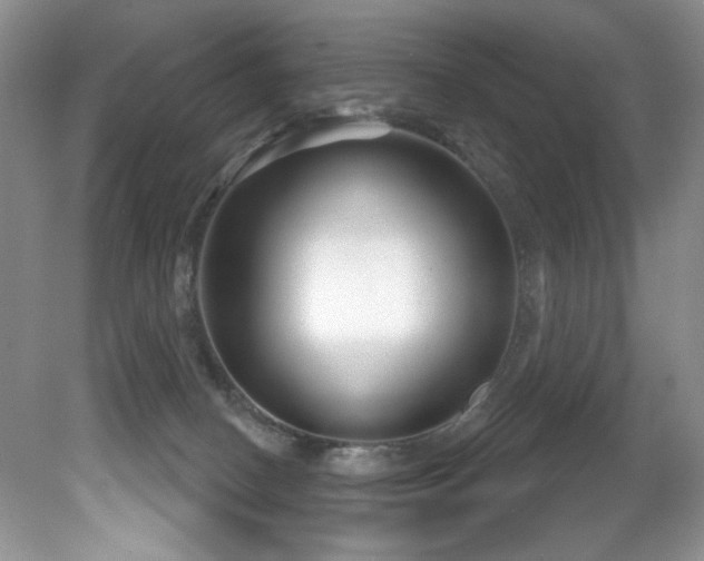 X0000081620082200701151442