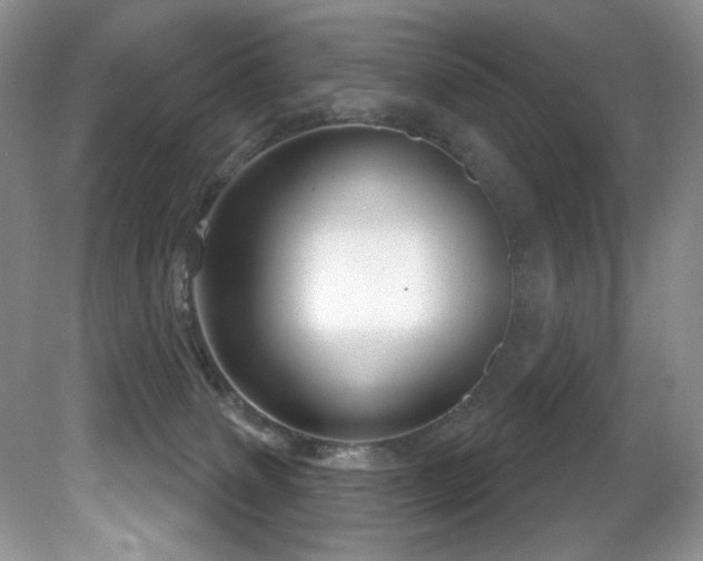 X0000081620083200701151442