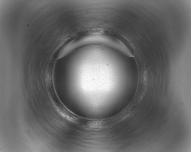 X0000081620084200701151443