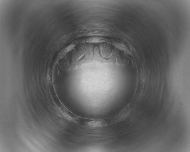 X0000081620085200701151443