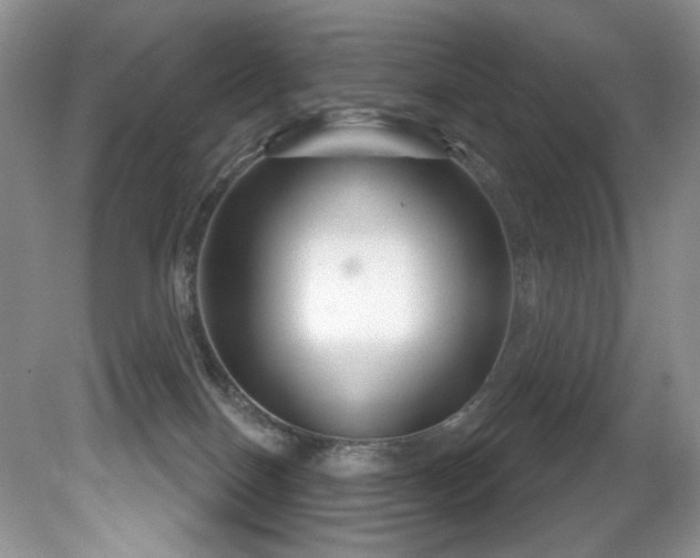 X0000081620086200701151443