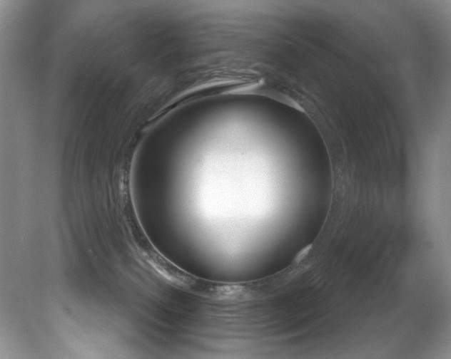 X0000081620087200701151443