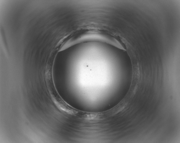 X0000081620088200701151443