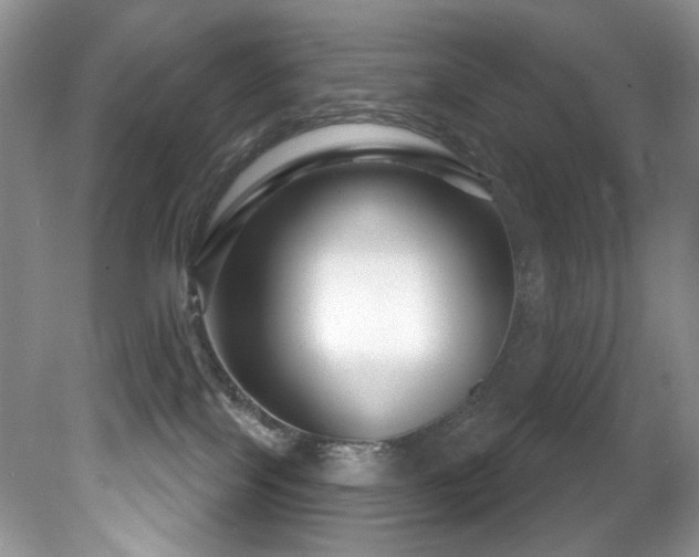 X0000081620089200701151443