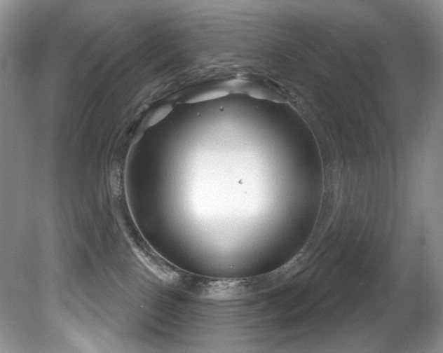 X0000081620090200701151443