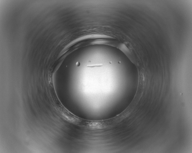 X0000081620091200701151443