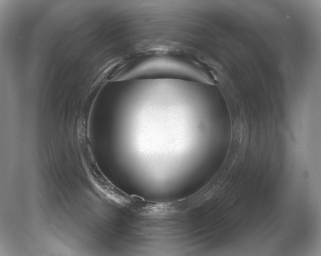X0000081620092200701151443