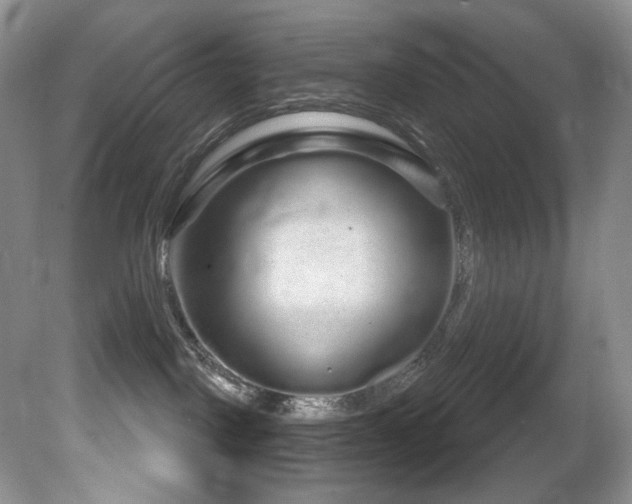 X0000081620093200701151443
