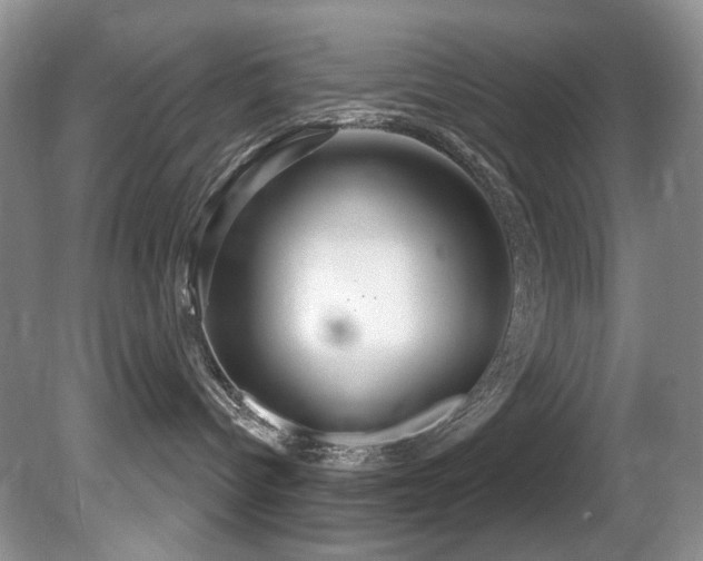 X0000081620096200701151443