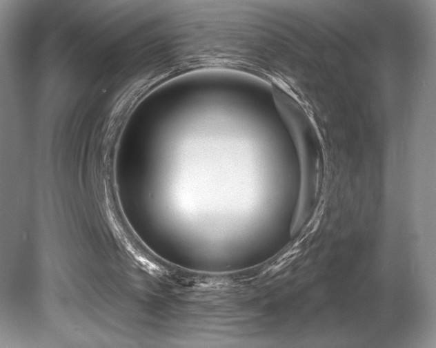 X0000081620097200701151442
