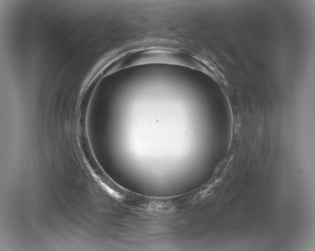 X0000081620101200701151442
