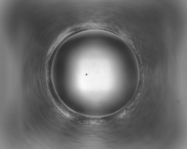 X0000081620103200701151442
