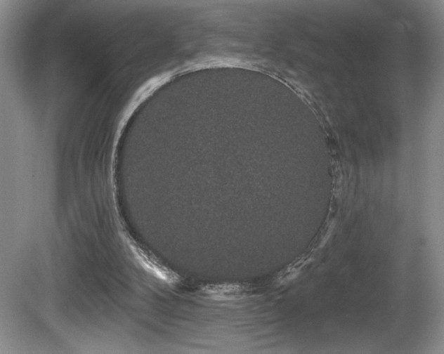 X0000081620104200701151442