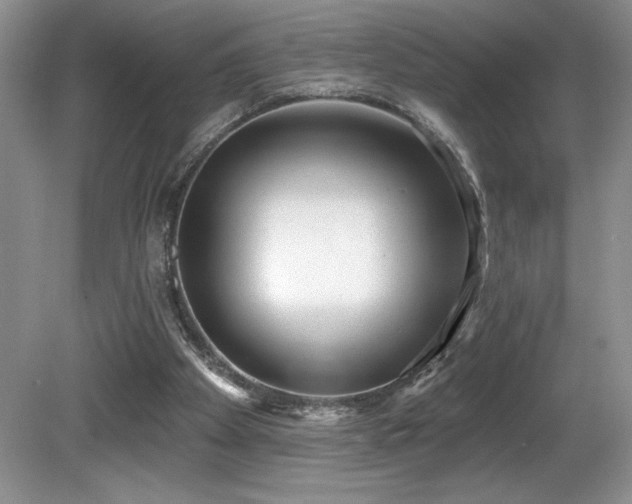 X0000081620105200701151442