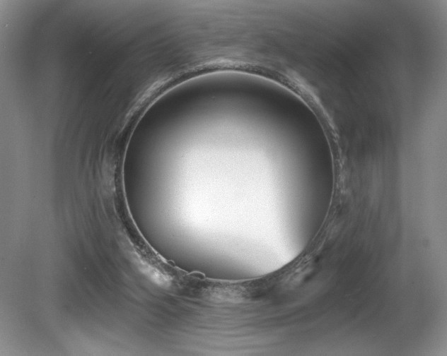 X0000081620106200701151442