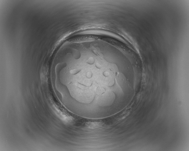 X0000081620107200701151442