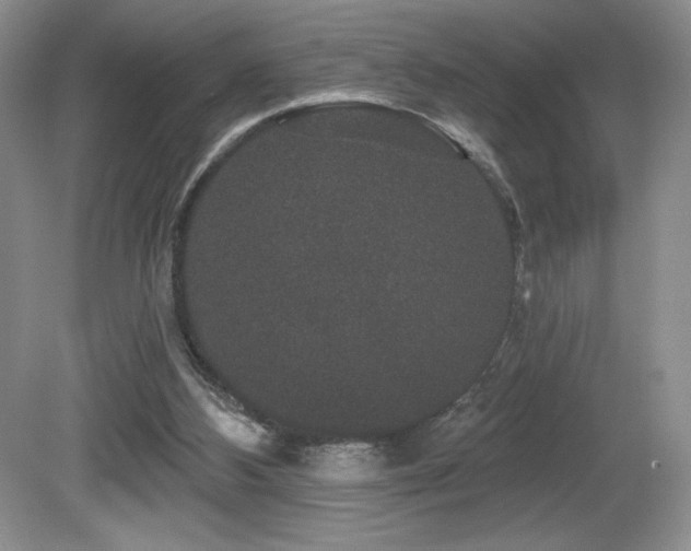 X0000081620108200701151442