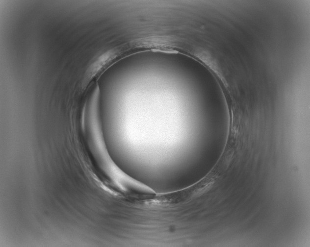 X0000081620109200701151442