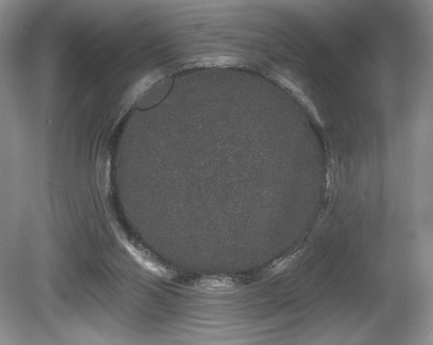X0000081620110200701151442