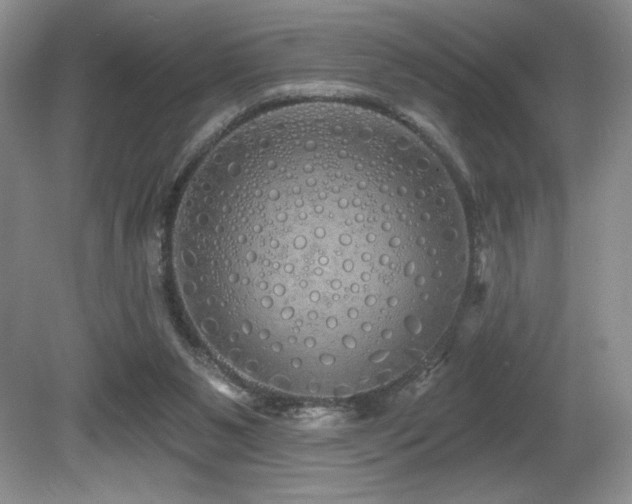 X0000081620111200701151442