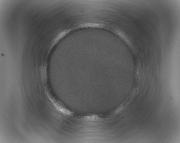 X0000081620112200701151442