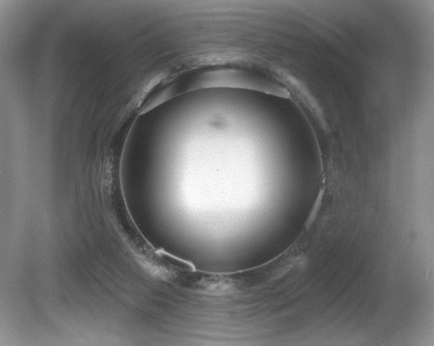 X0000081620113200701151442