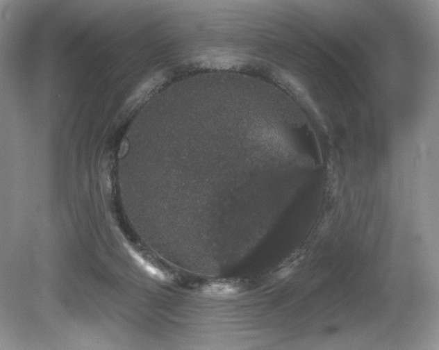 X0000081620114200701151442