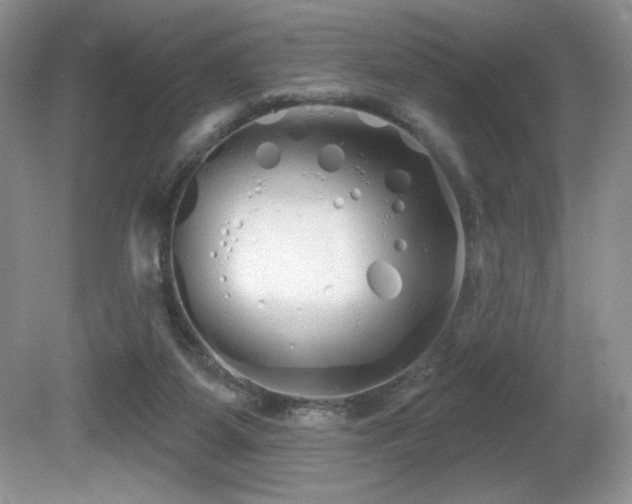 X0000081620115200701151442