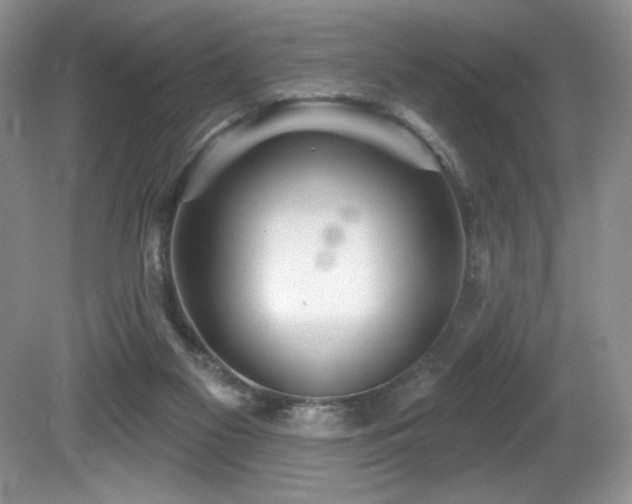 X0000081620117200701151442