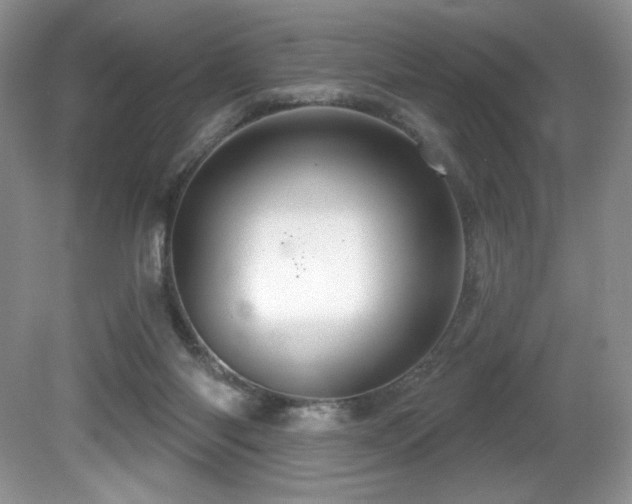 X0000081620118200701151442