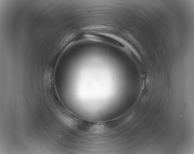X0000081620119200701151442