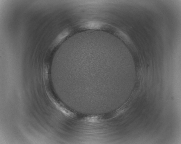 X0000081620120200701151441
