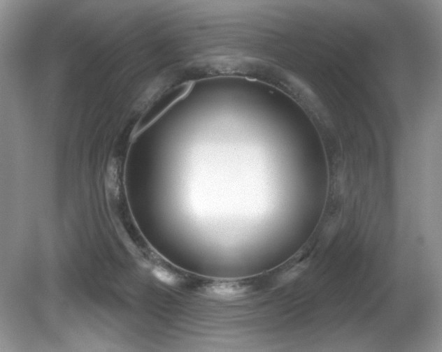 X0000081620121200701151441
