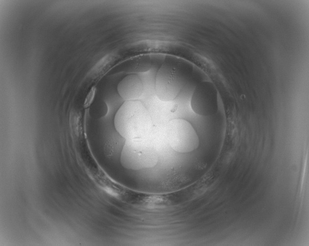 X0000081620123200701151441
