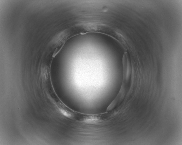 X0000081620125200701151441