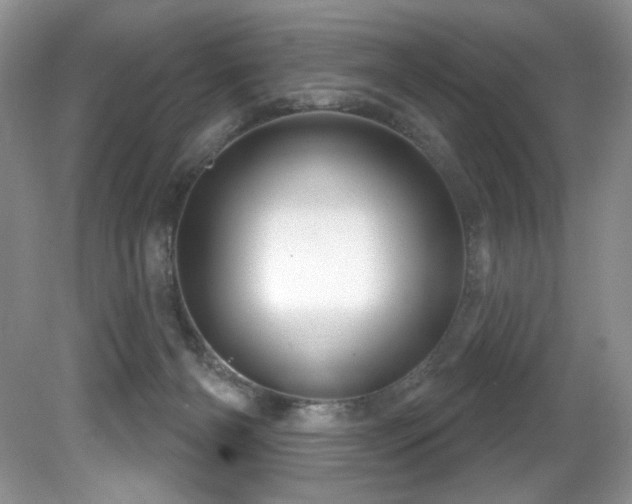 X0000081620126200701151441