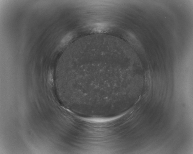 X0000081620127200701151441