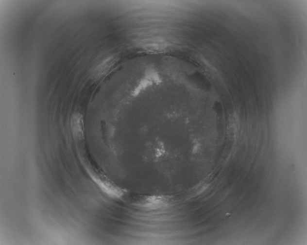 X0000081620130200701151441