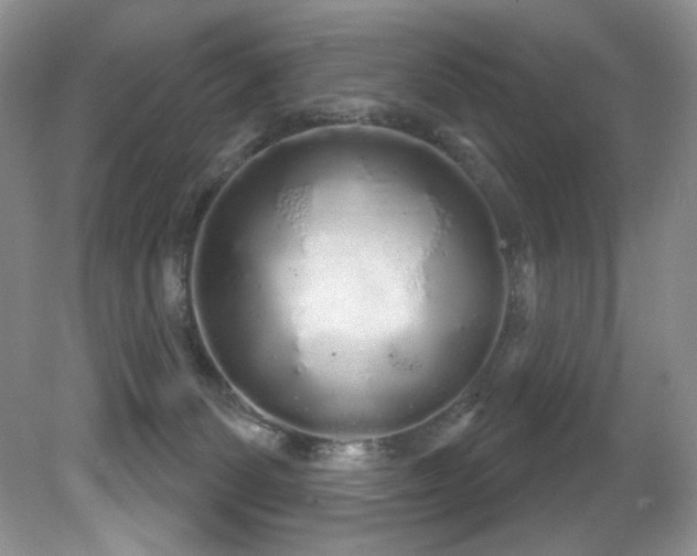 X0000081620131200701151441