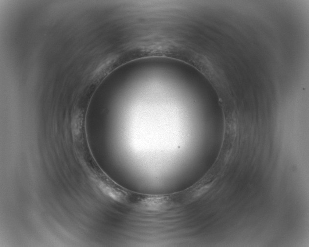 X0000081620133200701151441